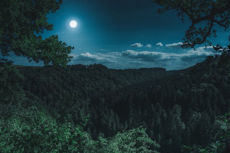 Moon Phase Backdrop